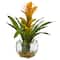 12" Bromeliad Plant with Glass Vase Arrangement